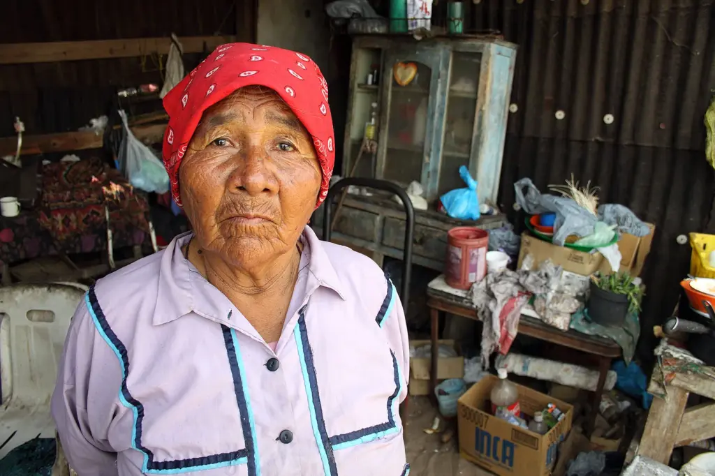 a2.com storage box 11