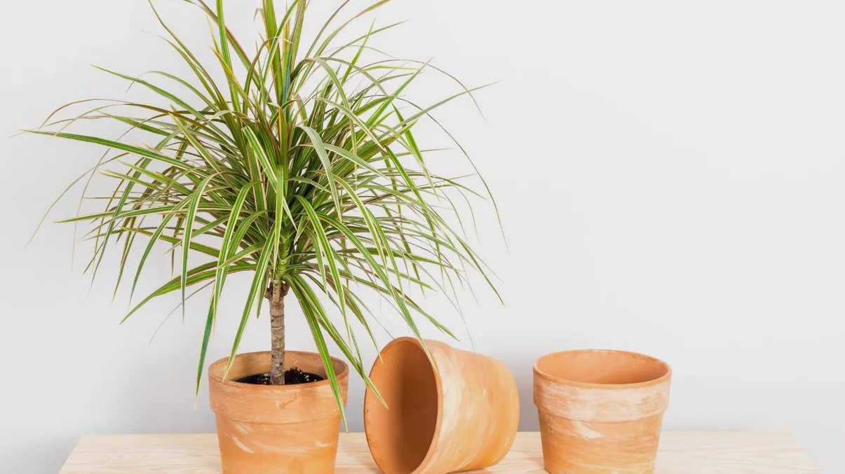 Spring Bedroom Upgrades That Organize Better and Feel Luxurious