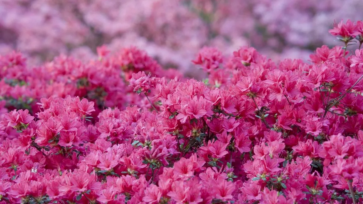 Spring Storage That Looks Good: Bins, Porch Style, and Fresh Color