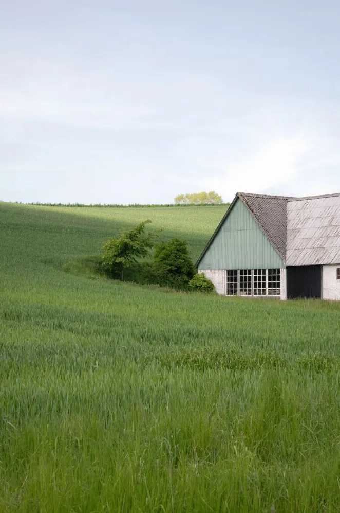 New Privacy Plant Trend Meets Smarter Outdoor Storage