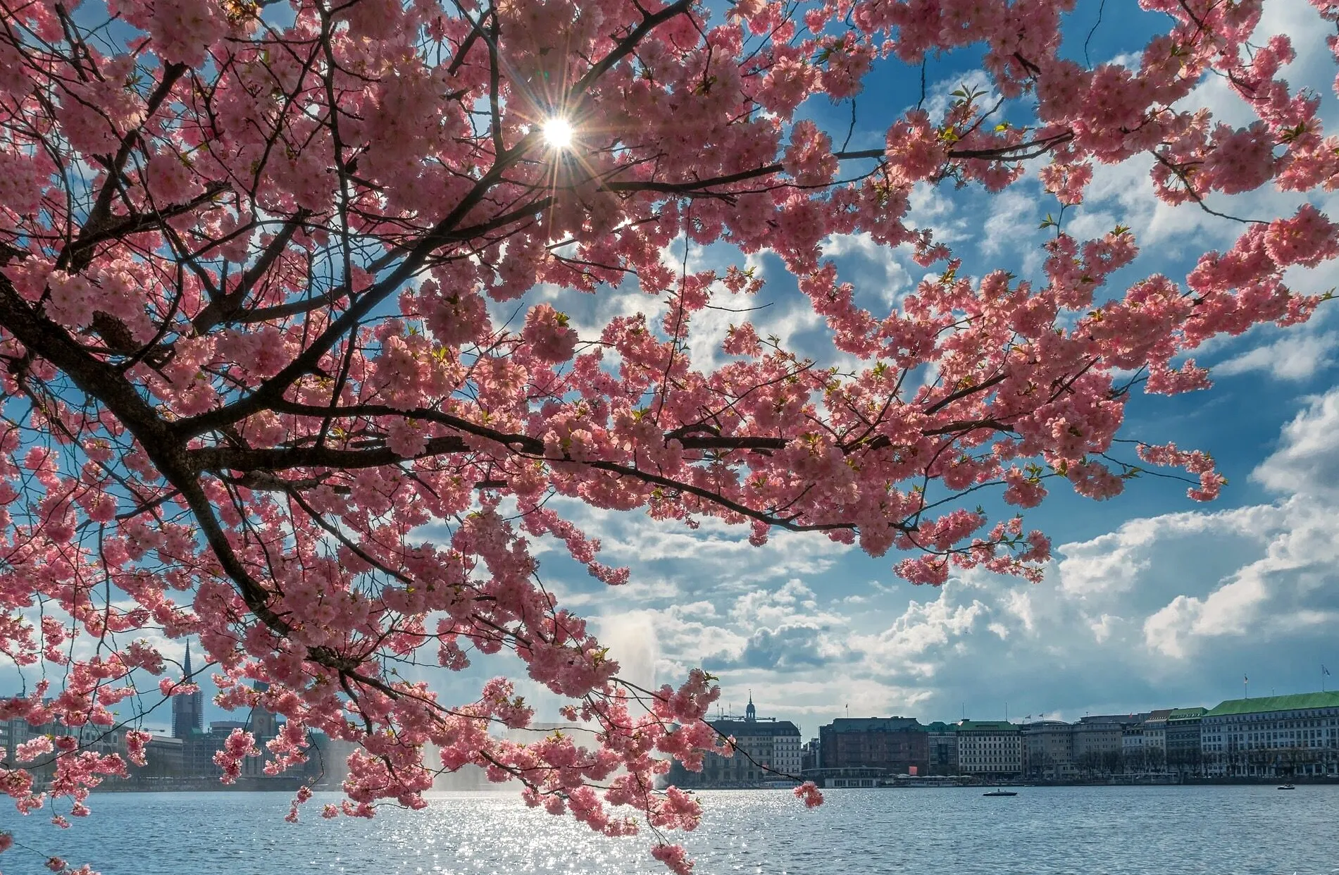 April Garden Styling Ideas That Make Small Outdoor Spaces Shine